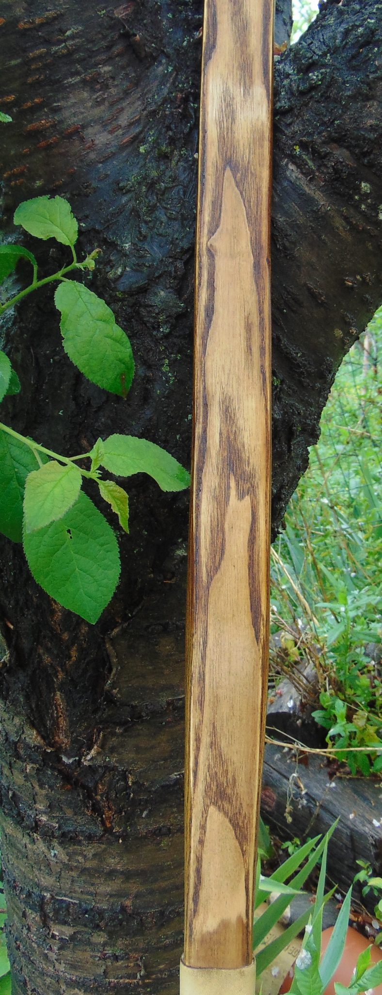 Archerie traditionnelle au Bois des Arcs – Le CuLOTté